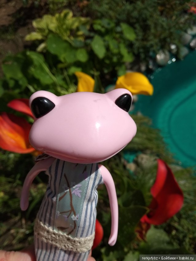 Кое-что из жизни лягушек — Фигурки Studio