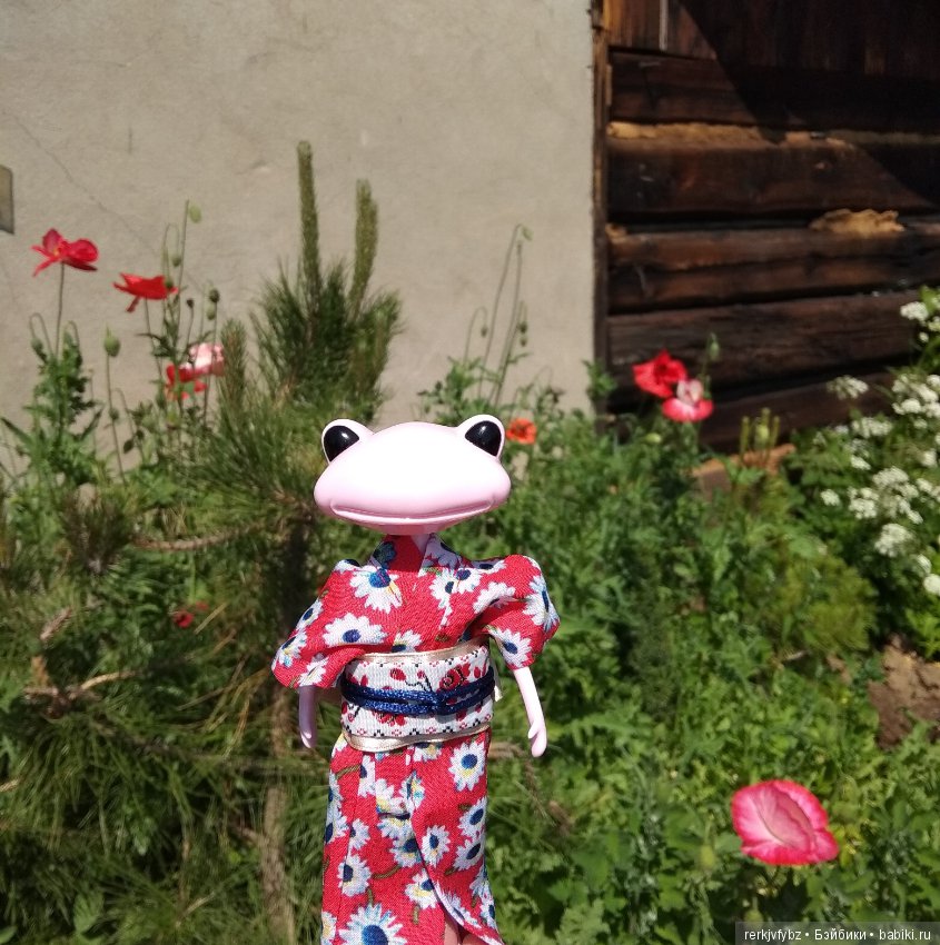 Кое-что из жизни лягушек — Фигурки Studio