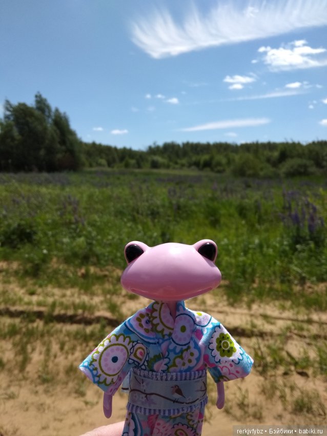 Кое-что из жизни лягушек — Фигурки Studio