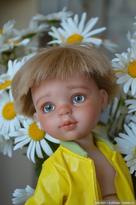 Любите ли вы ромашки так, как люблю их я