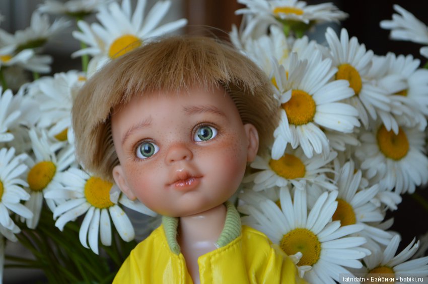 Любите ли вы ромашки так, как люблю их я