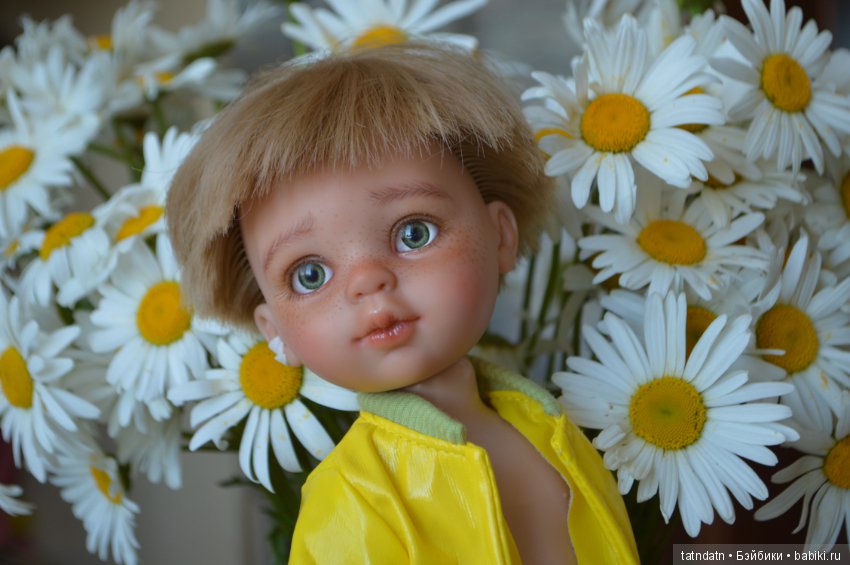 Любите ли вы ромашки так, как люблю их я