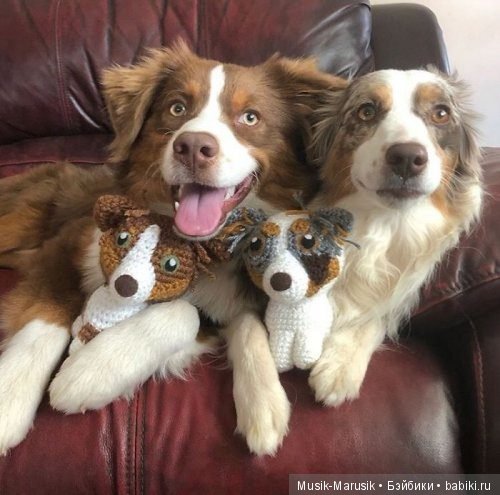 Вязаные копии домашних животных (фото 7)