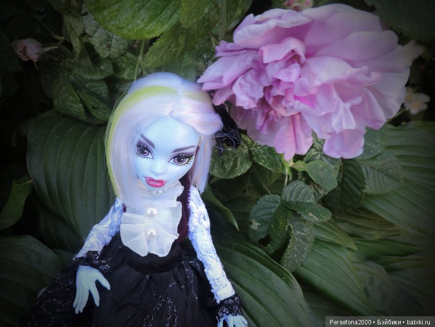 Лед и пламень — Куклы Monster High и Ever After High: G1 (фото 5)