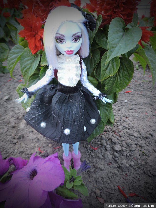 Лед и пламень — Куклы Monster High и Ever After High: G1 (фото 2)