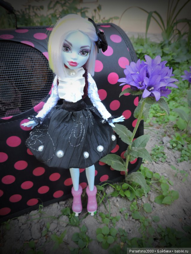 Лед и пламень — Куклы Monster High и Ever After High: G1 (фото 4)