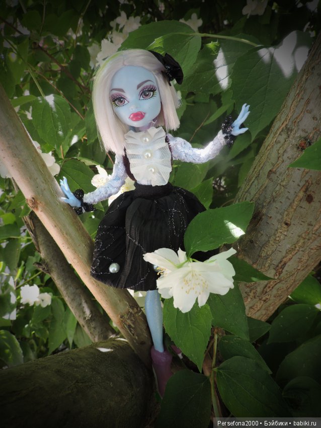 Лед и пламень — Куклы Monster High и Ever After High: G1 (фото 8)