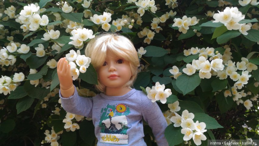 Подарок от мамы Якоб Kidz'n'cats