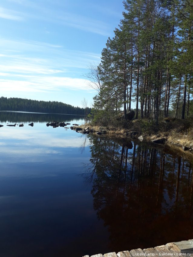 Прогулка — Болталка и разговоры обо всем: жизнь (фото 7)