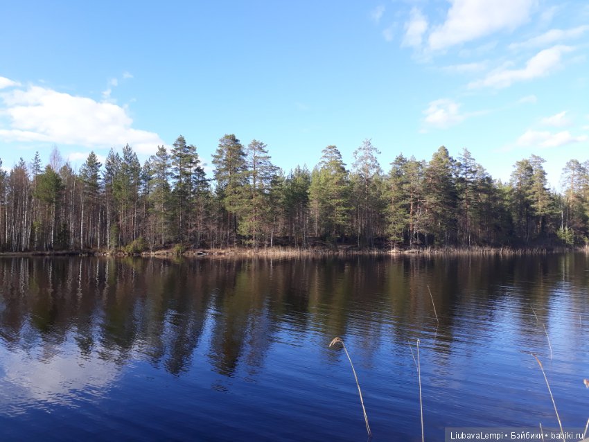Прогулка — Болталка и разговоры обо всем: жизнь (фото 6)