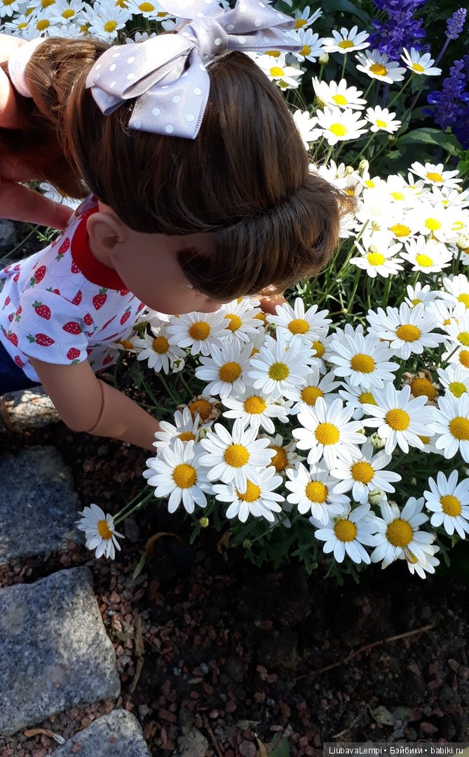 Прогулка — Болталка и разговоры обо всем: жизнь (фото 5)