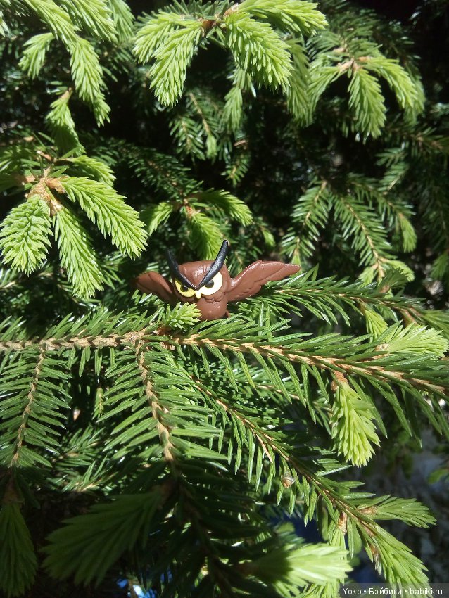 Давайте познакомимся — Болталка и разговоры обо всем: жизнь (фото 7)