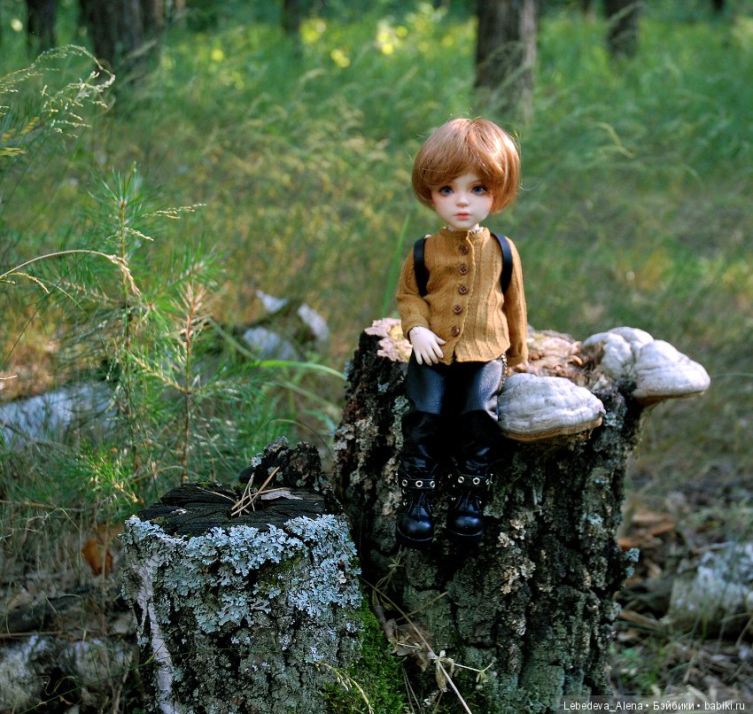 Лесными тропами — Куклы Iplehouse (Иплхаус): BJD (БЖД) (фото 2)