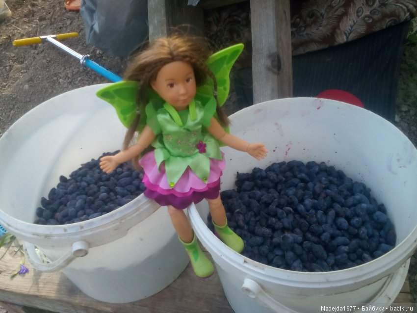 Как наша фея София ягоды собирала и гуляла