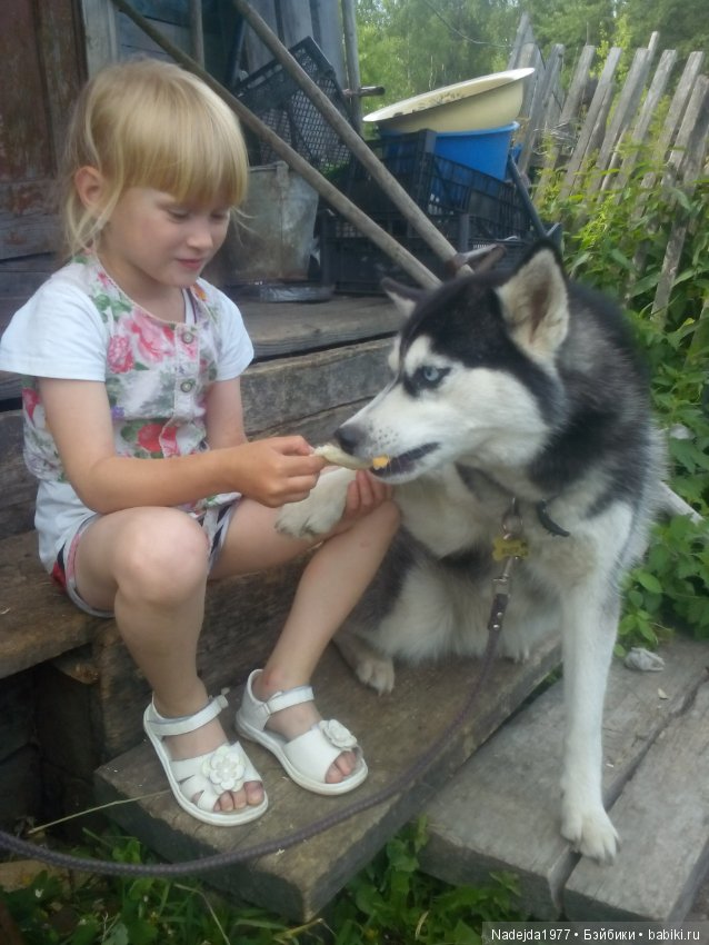 Как наша фея София ягоды собирала и гуляла