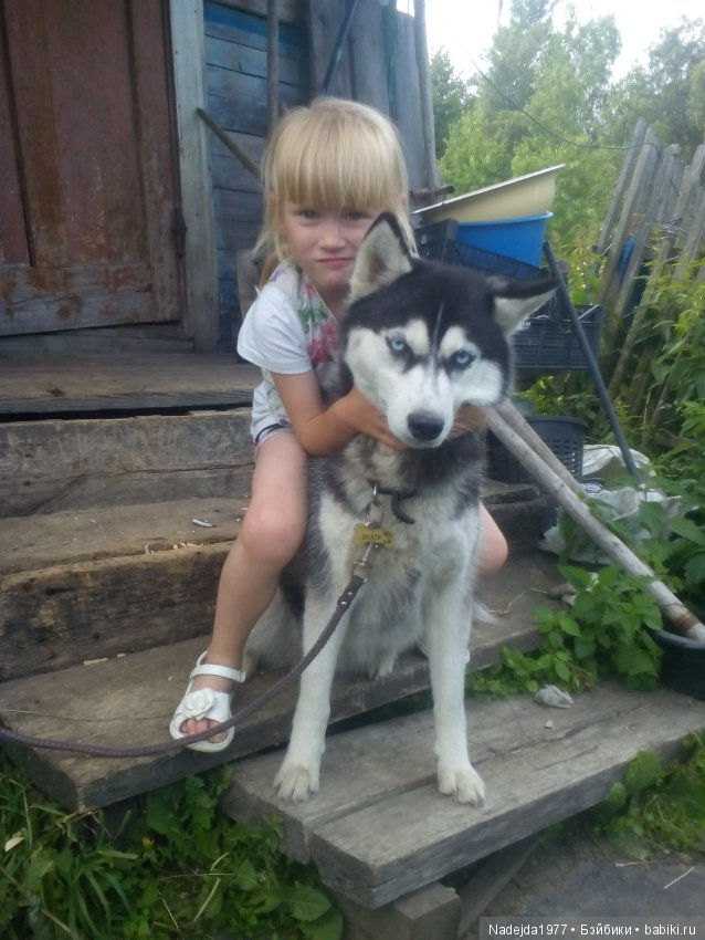 Как наша фея София ягоды собирала и гуляла