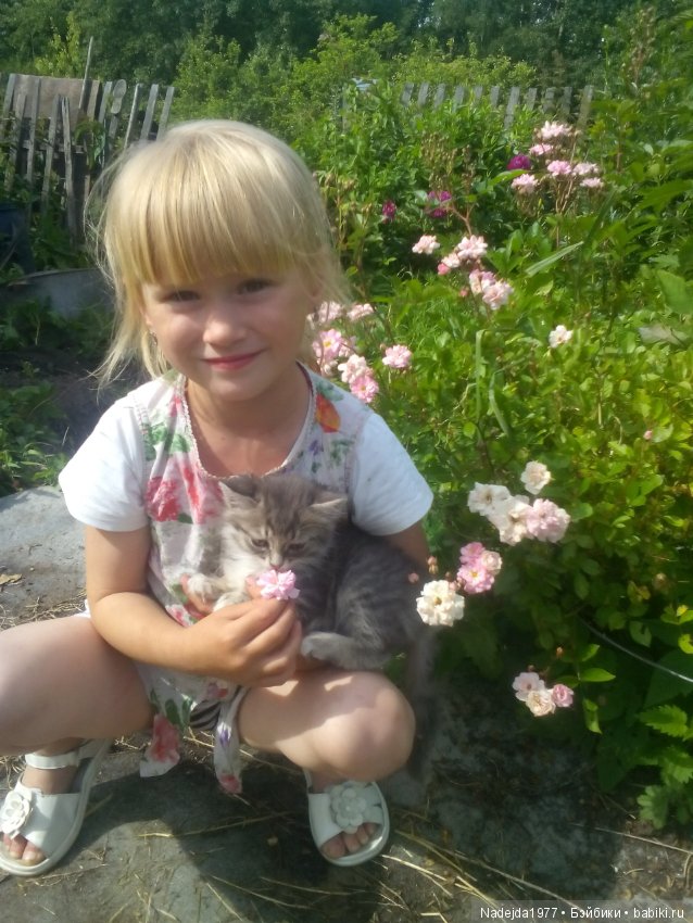 Как наша фея София ягоды собирала и гуляла