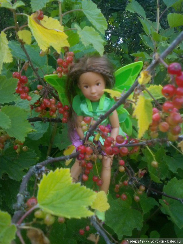 Как наша фея София ягоды собирала и гуляла