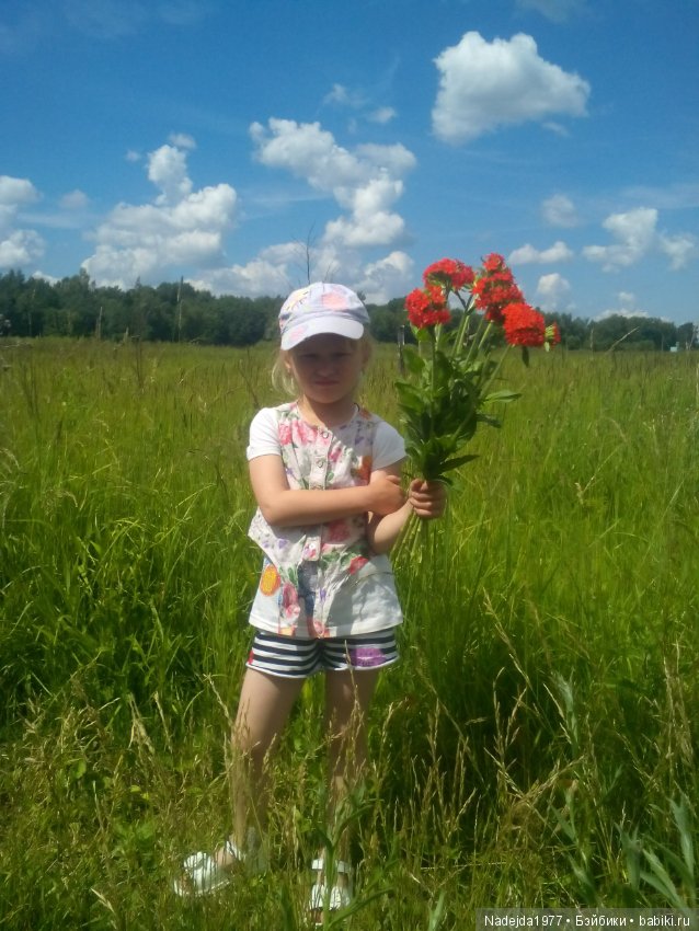 Как наша фея София ягоды собирала и гуляла