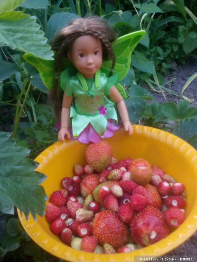 Как наша фея София ягоды собирала и гуляла