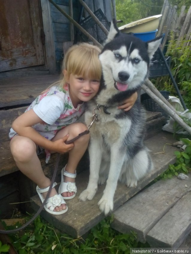 Как наша фея София ягоды собирала и гуляла