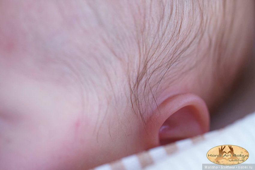 Realborn Dominic Awake, автор прототипа Bianca Franke