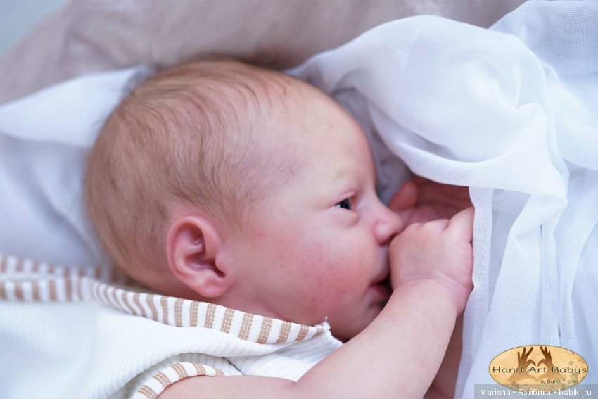 Realborn Dominic Awake, автор прототипа Bianca Franke