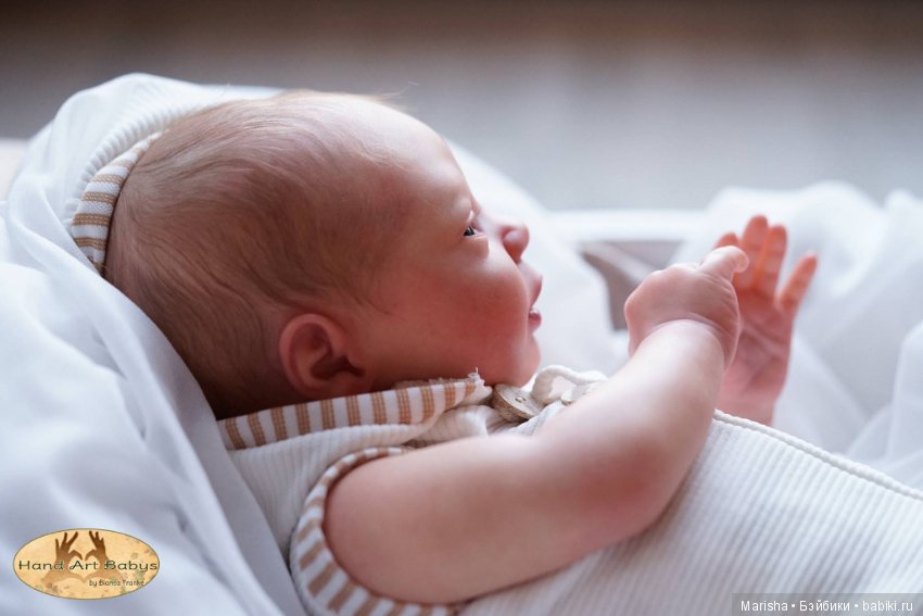 Realborn Dominic Awake, автор прототипа Bianca Franke (фото 5)