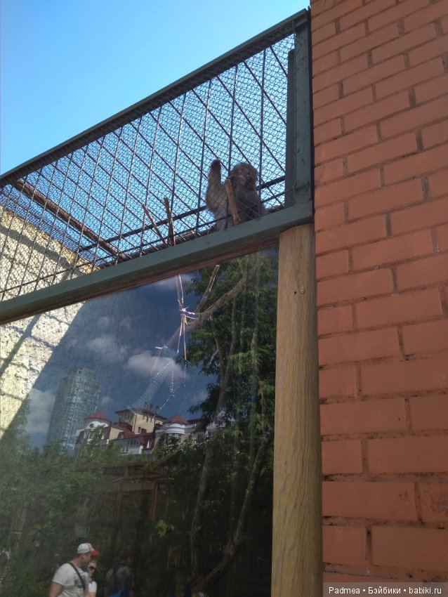 Первая прогулка с куклой, или Машка в зоопарке