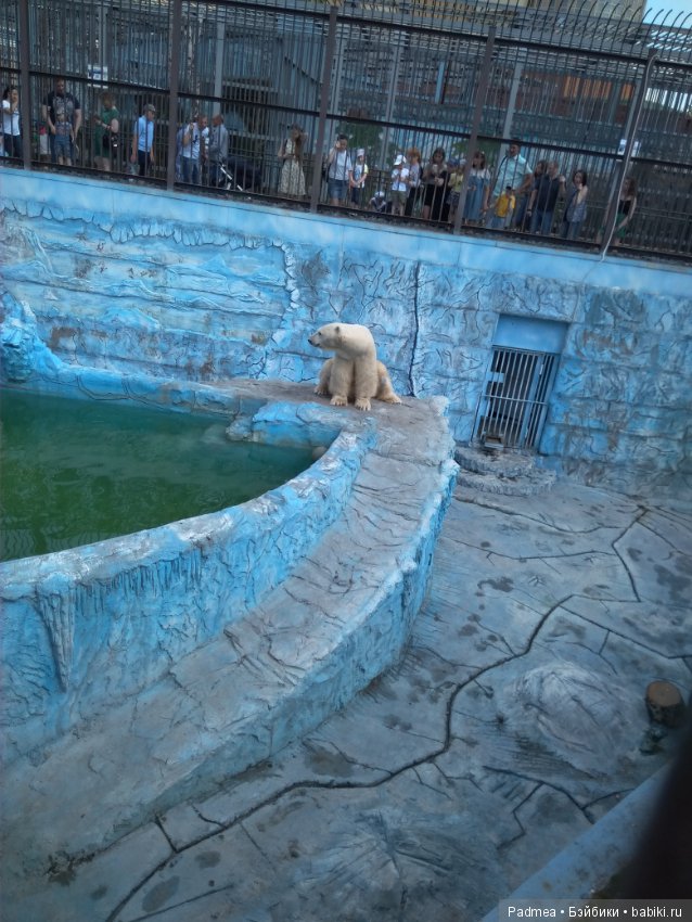 Первая прогулка с куклой, или Машка в зоопарке (фото 2)