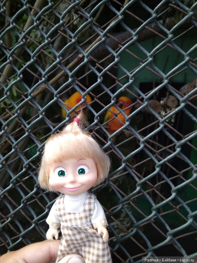 Первая прогулка с куклой, или Машка в зоопарке