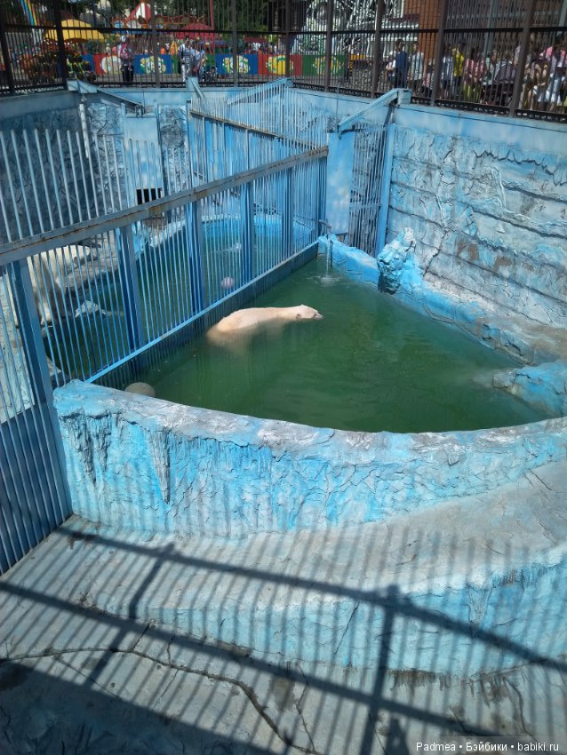 Первая прогулка с куклой, или Машка в зоопарке