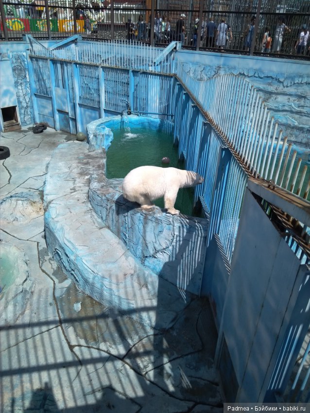 Первая прогулка с куклой, или Машка в зоопарке (фото 6)