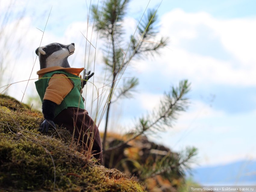 Барсук — Игрушки в смешанной технике (мех и глина): Арт (фото 7)