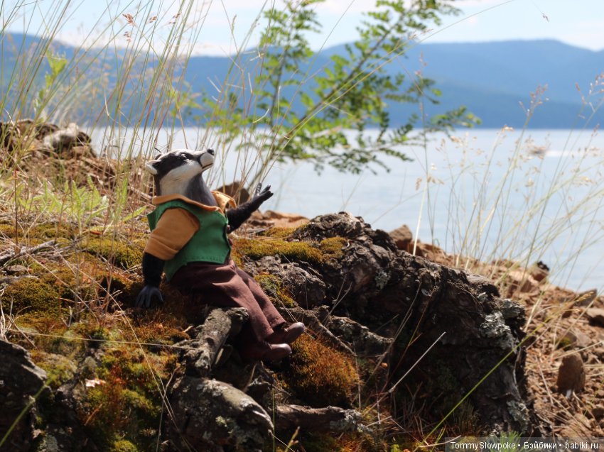 Барсук — Игрушки в смешанной технике (мех и глина): Арт (фото 8)