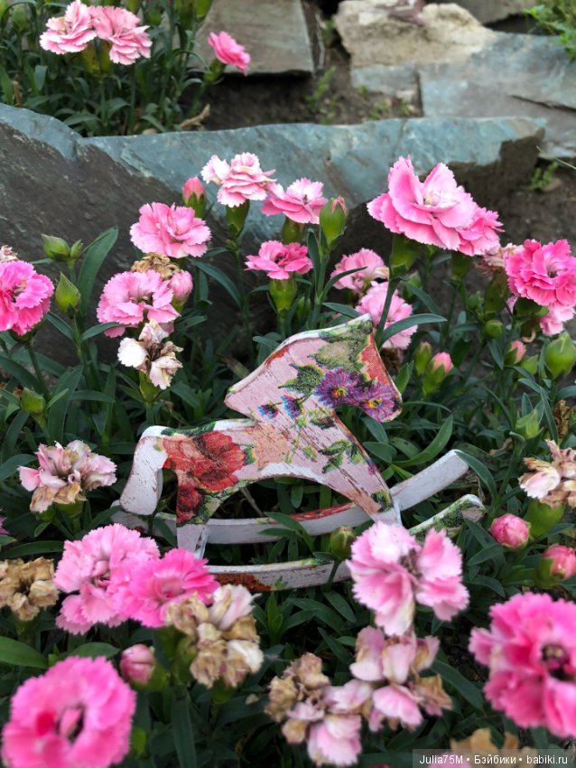 Я люблю свою лошадку,причешу ей шерстку гладко (фото 4)