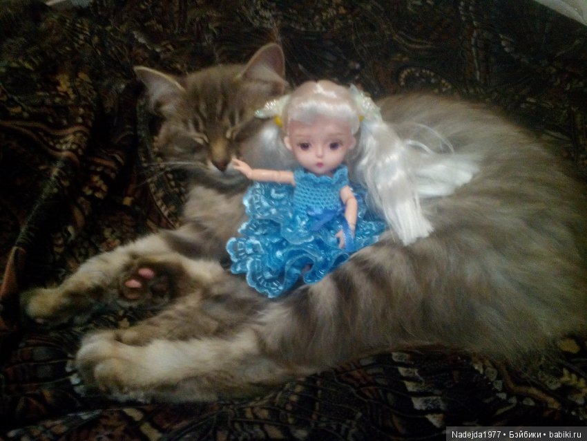 Новая кукложительница.Или не всех война стороной обошла