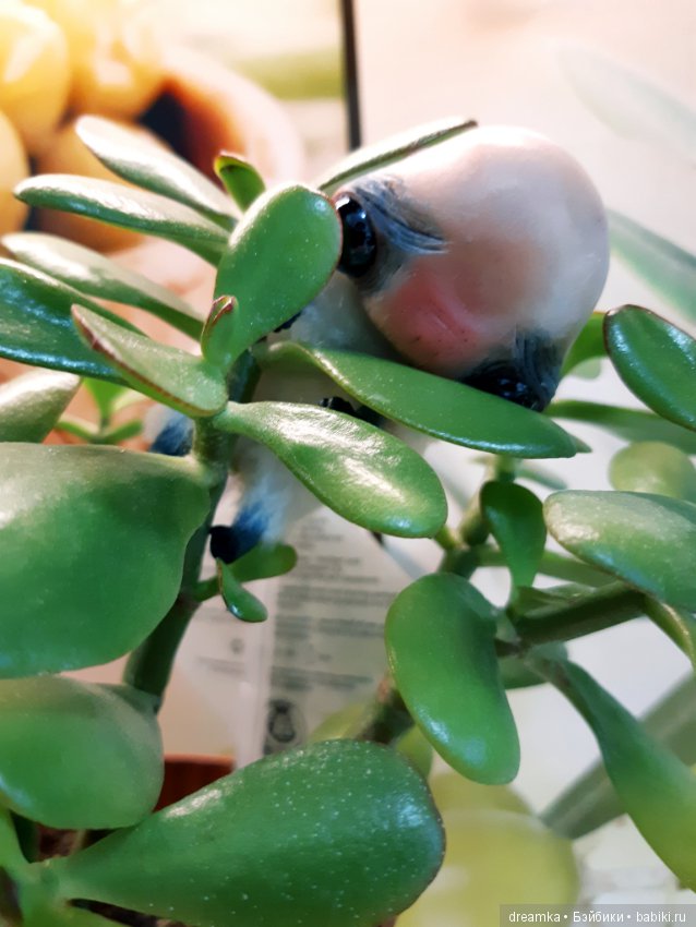 Будни маленькой врединки — Домашние фото авторских игрушек: Тедди (фото 2)