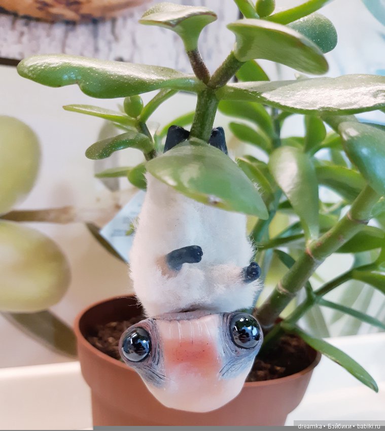 Будни маленькой врединки — Домашние фото авторских игрушек: Тедди (фото 6)