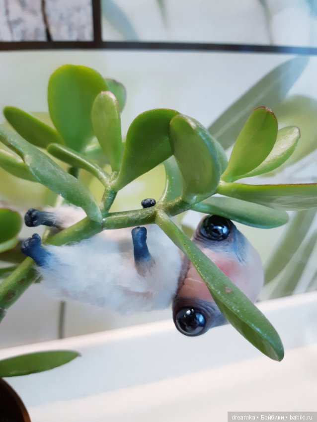 Будни маленькой врединки — Домашние фото авторских игрушек: Тедди (фото 5)