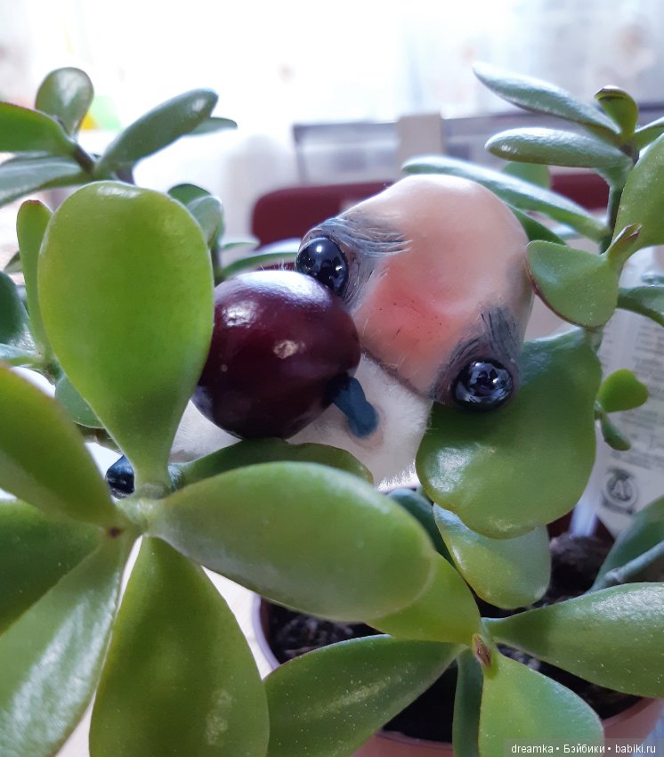 Будни маленькой врединки — Домашние фото авторских игрушек: Тедди