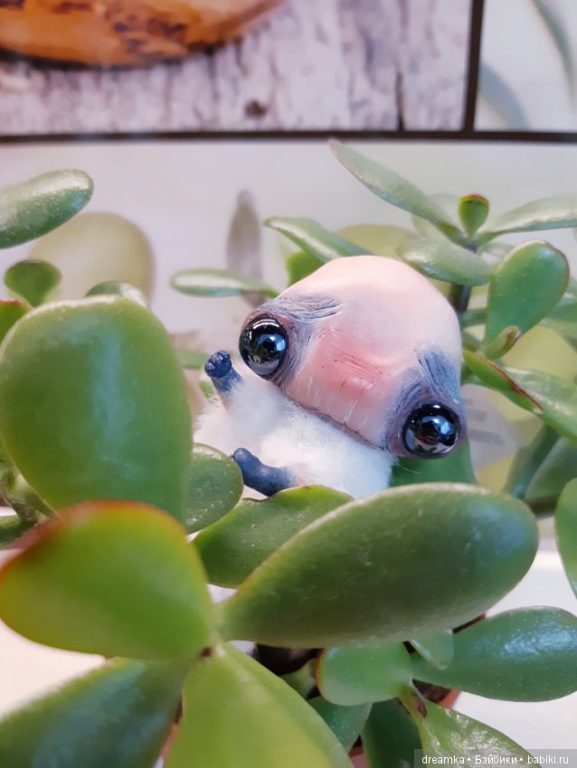 Будни маленькой врединки — Домашние фото авторских игрушек: Тедди (фото 8)