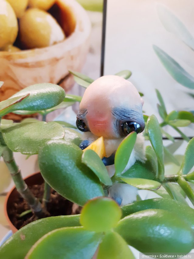 Будни маленькой врединки — Домашние фото авторских игрушек: Тедди