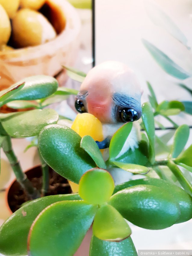 Будни маленькой врединки — Домашние фото авторских игрушек: Тедди