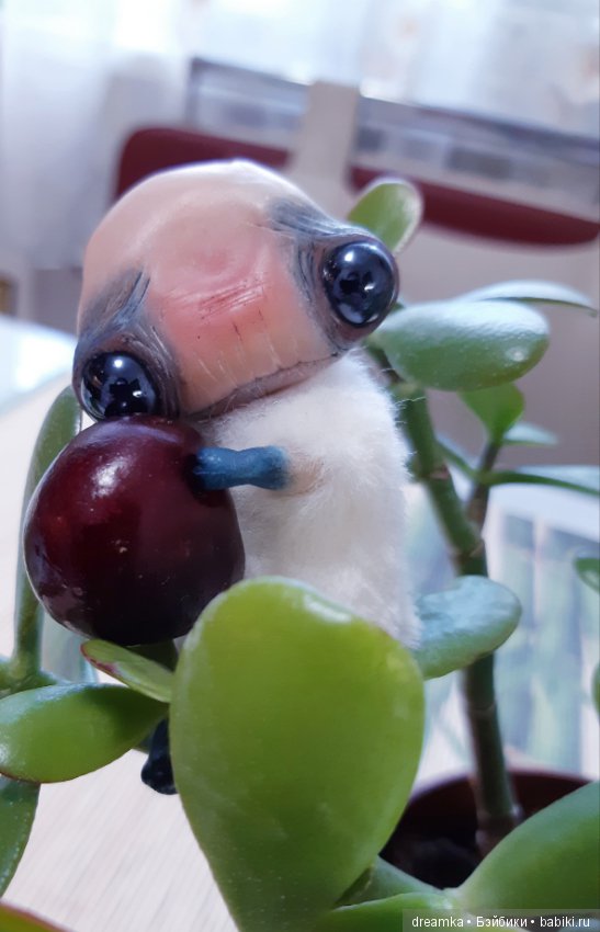 Будни маленькой врединки — Домашние фото авторских игрушек: Тедди