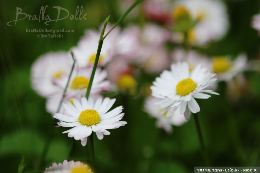 Красная лиса — Авторские шарнирные куклы своими руками: лепка (фото 6)