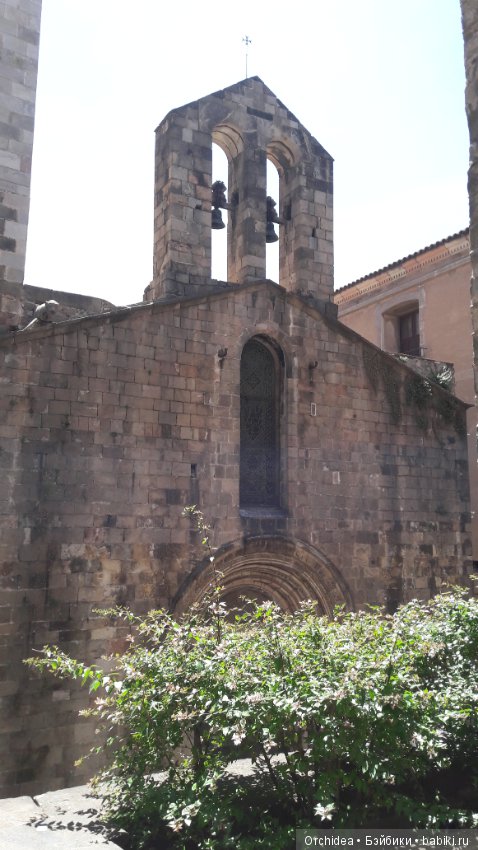 Привет из Барселоны. Часть 1 (фото 8)