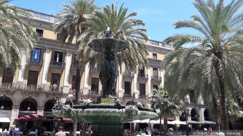 Привет из Барселоны. Часть 1 (фото 10)