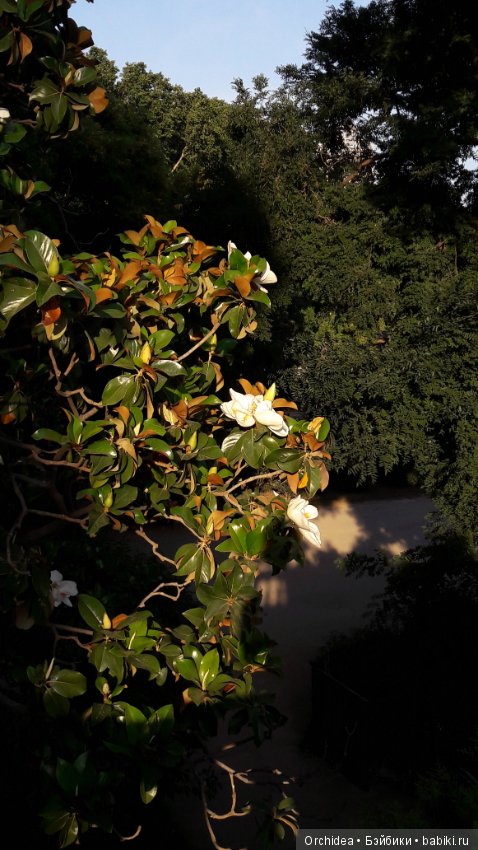 Привет из Барселоны. Часть 1