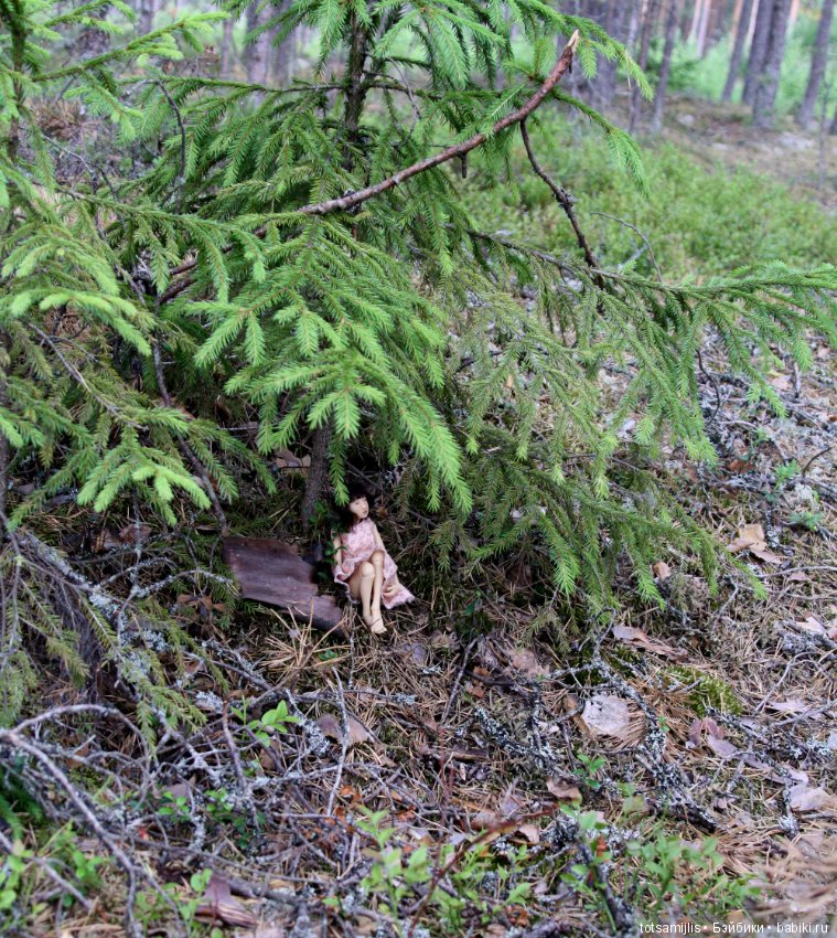 Дача... или Лиен (Наби от Юлии Решетниковой) три дня в дожде (фото 4)